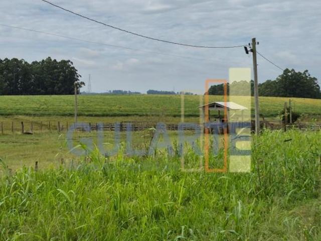 Fazenda