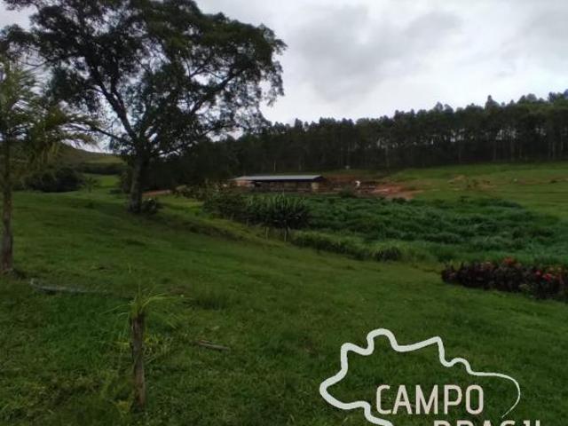 FAZENDA 235 HECTARES NO SUL DE MINAS GERAIS!