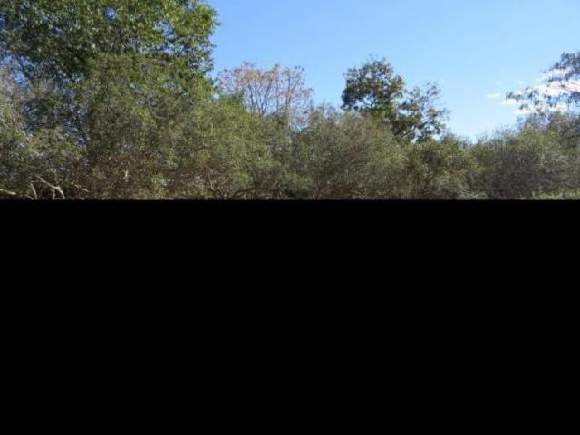 Fazenda 2.980.000,00