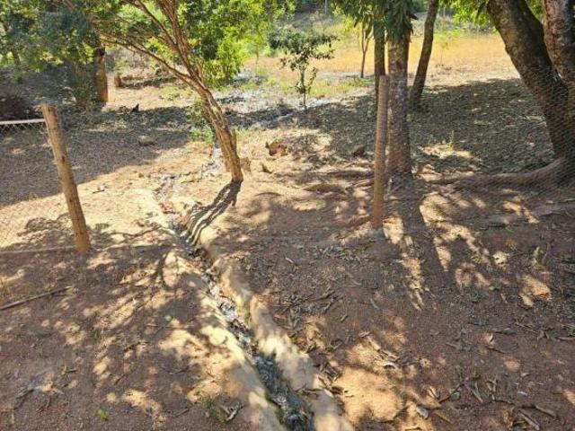 Fazenda 343 hectares em Felixlândia/MG
