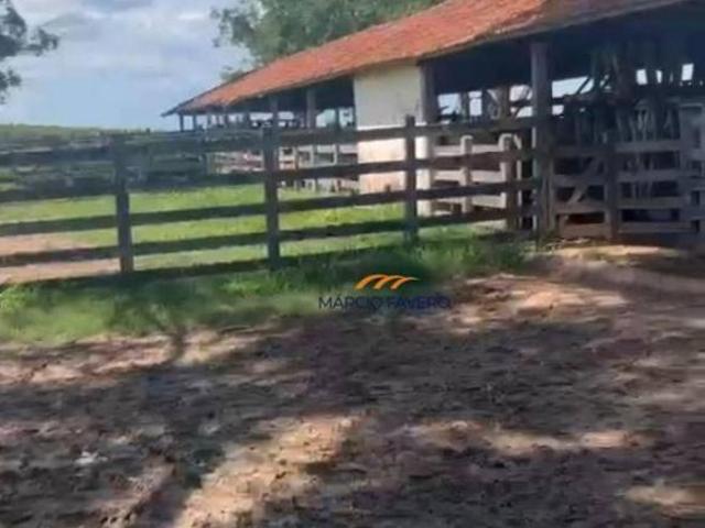 Fazenda