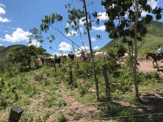 Fazenda