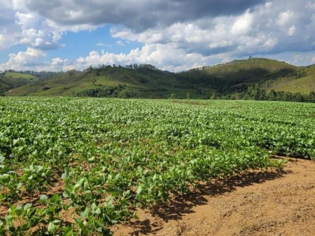 Fazenda para venda em Caldas