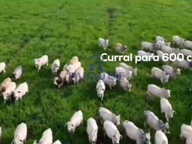 Fazenda