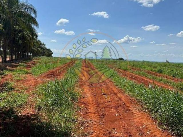 Fazenda