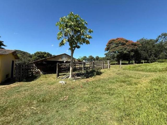 Fazenda