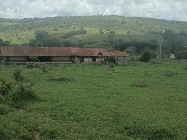 Fazenda