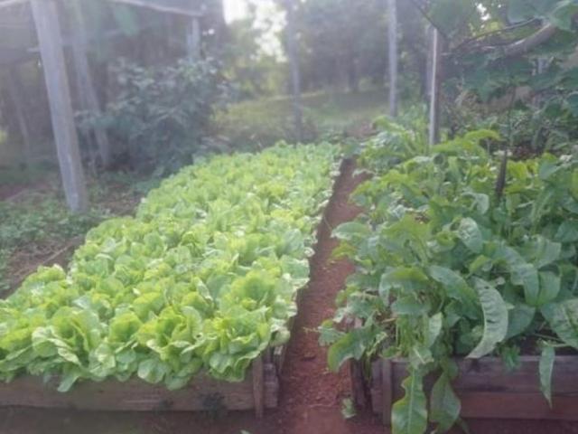 Fazenda