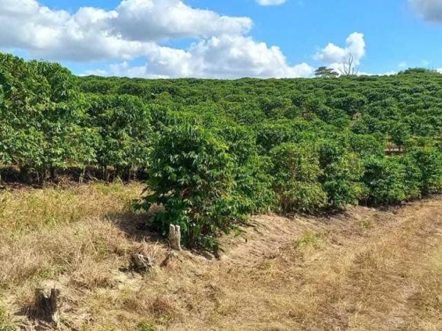 Fazenda
