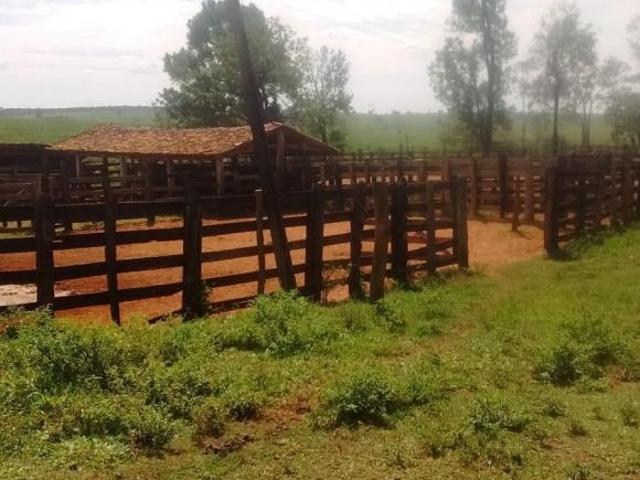 Fazenda