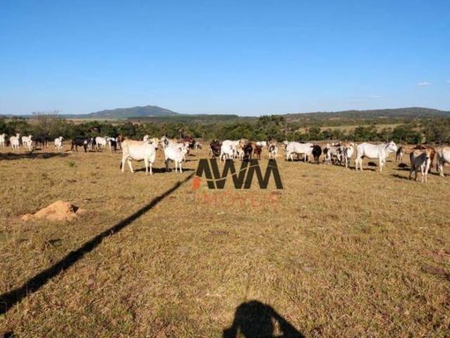 Fazenda