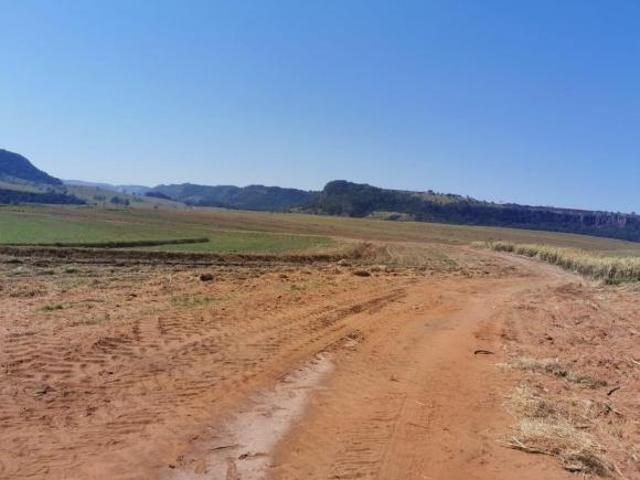Fazenda 389,7 Alqueires 289 Alqueires em Cana Contrato até 2028 38 Toneladas Usina Barra Bonita
