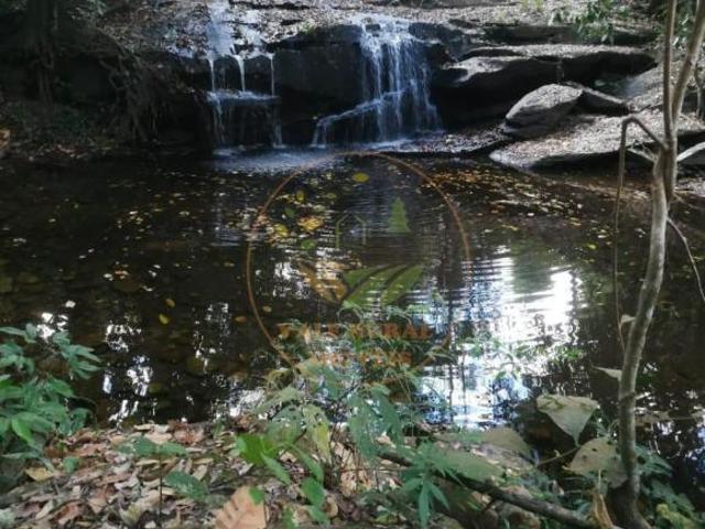 Fazenda