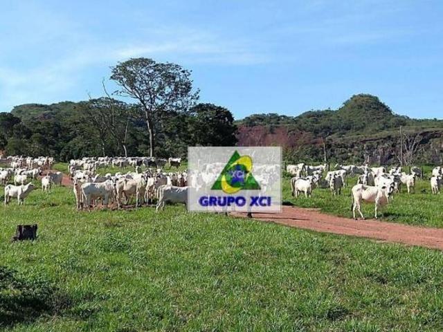 Fazenda