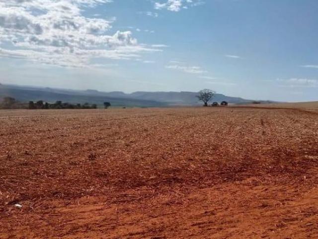 Fazenda 303 Alqueires, 182 Alqueires em Cana, 10 Alqueires em Soja, Topografia Plana e Levemente Ond