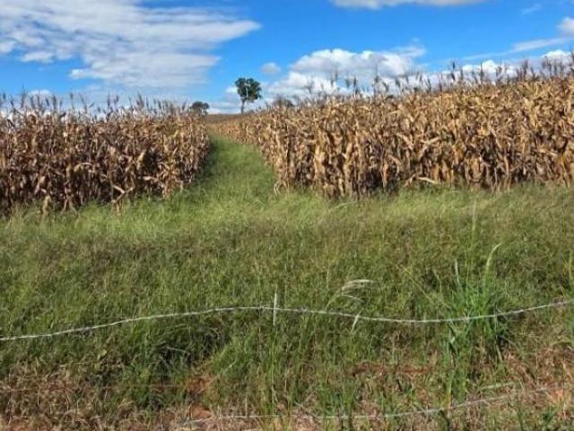 Fazenda