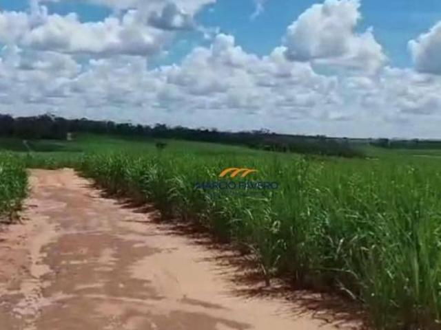 Fazenda