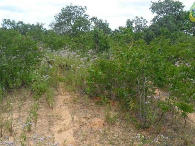 Fazenda