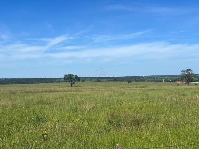 Fazenda 321 ha Dupla Aptidão em Inocência MS