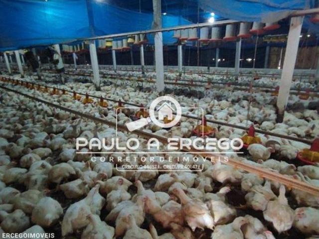 Fazenda
