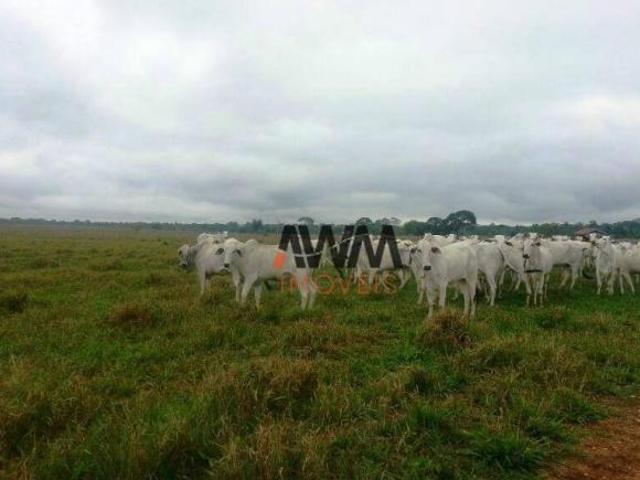Fazenda