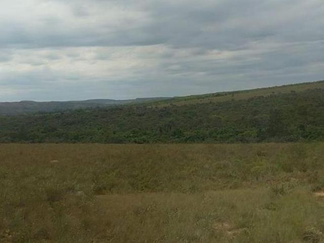 Fazenda 32 ha em Francisco Sá