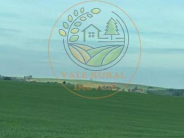 Fazenda para venda em Centro, Curitiba
