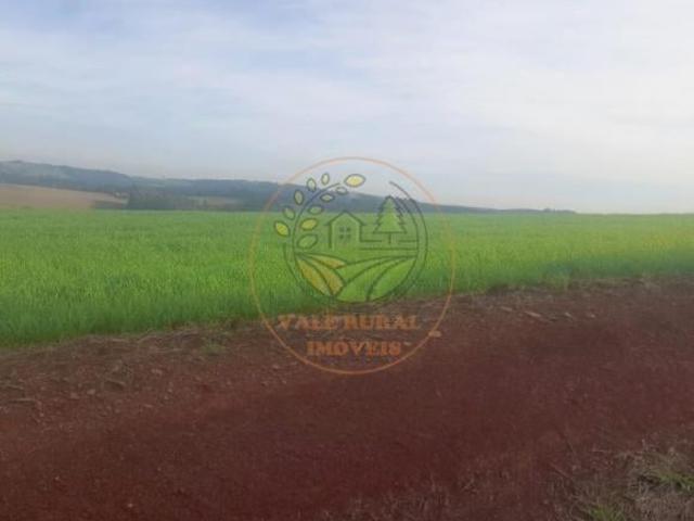 Fazenda
