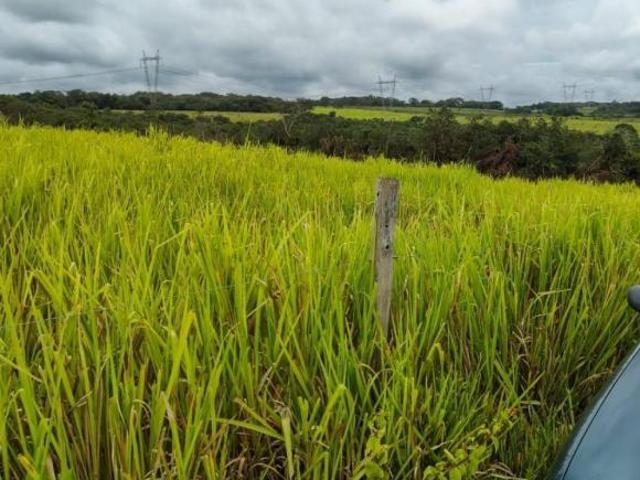 Fazenda