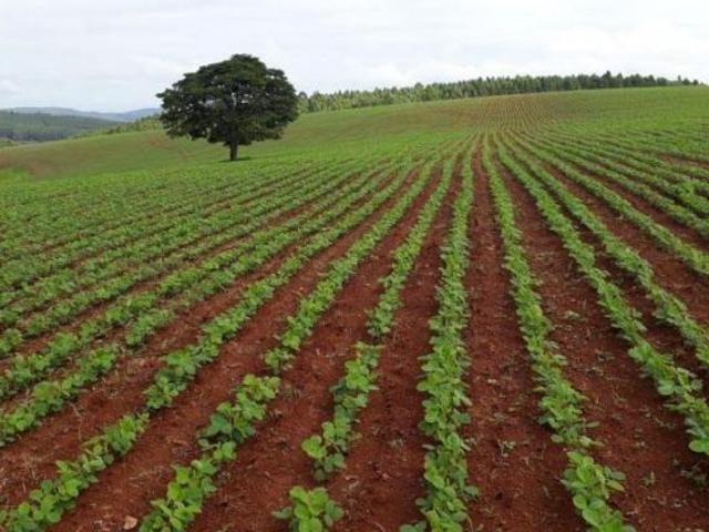 Fazenda