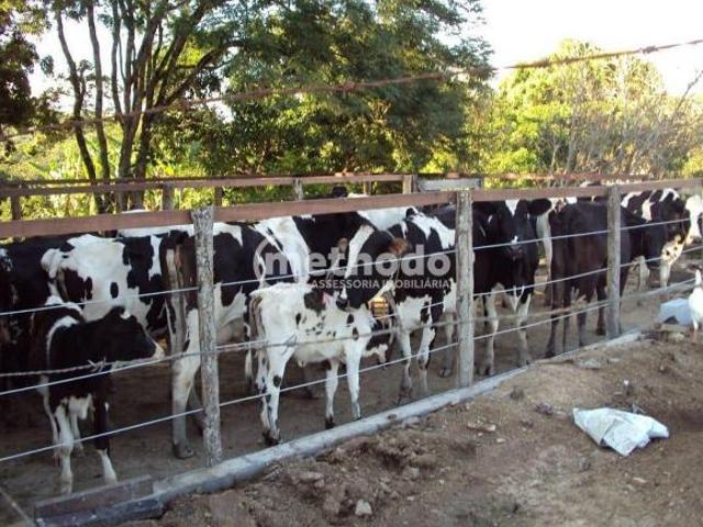 Fazenda