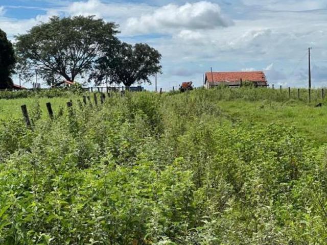 Fazenda