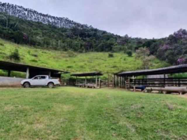 FAZENDA 338 HECTARES/ 193 HECT. DE PASTOS/CRIAÇÃO/GADO CORTE OU LEITE /VAI COM 100 CBÇS GADO INCLUSO