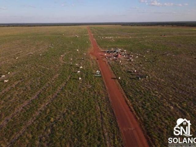 Fazenda 33 mil há na região de Porto Alegre do Norte MT