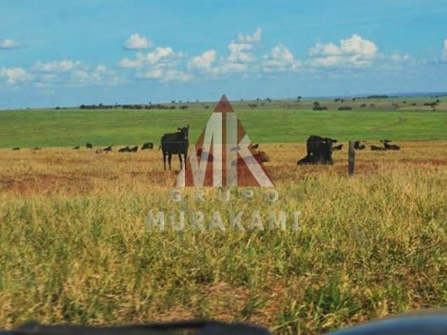 Fazenda