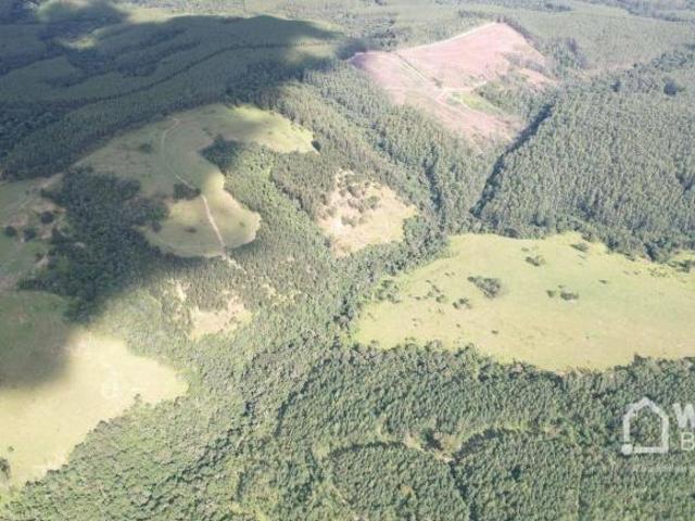 Fazenda