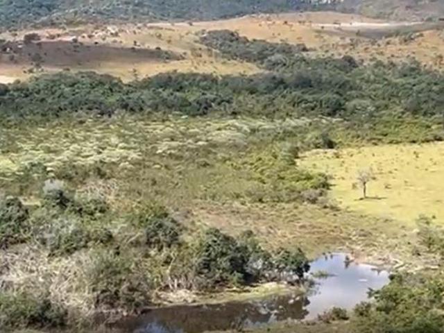 Fazenda