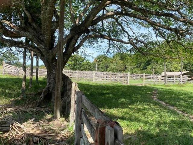 Fazenda