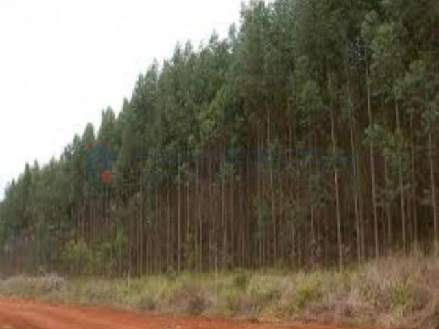 Fazenda