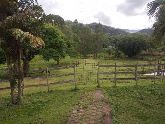 Fazenda