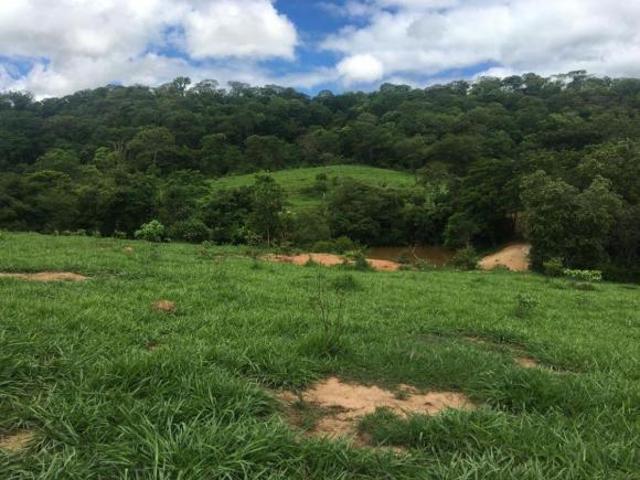 Fazenda 473 há localizada no município de Lassance/MG