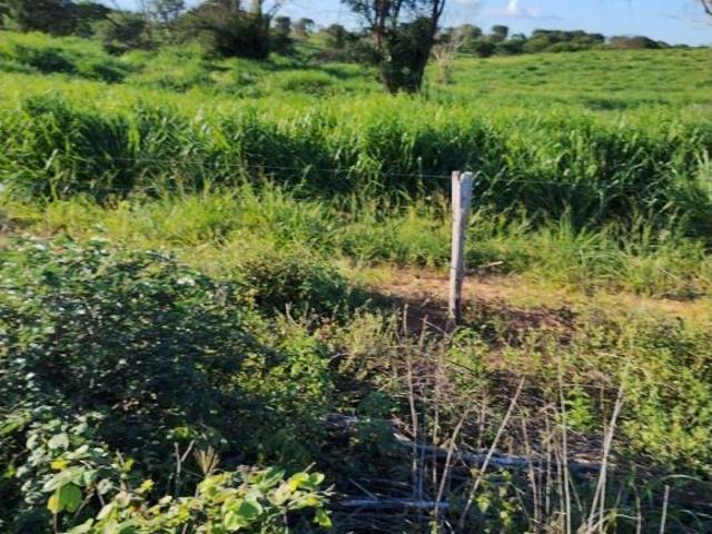 Fazenda