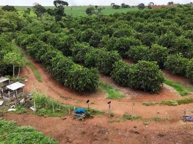 Fazenda