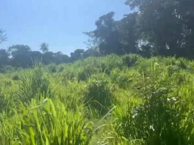 Fazenda 475 Hec para pecuaria Anastacio MS