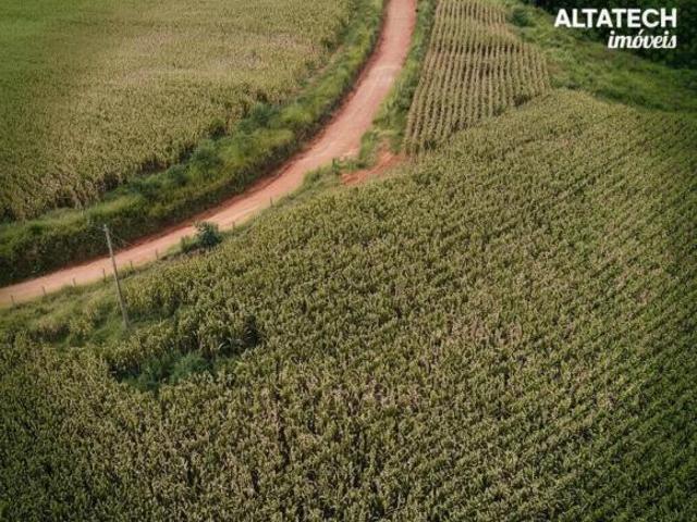 Fazenda 48,4 ha à venda em Roseira, Bandeira do Sul