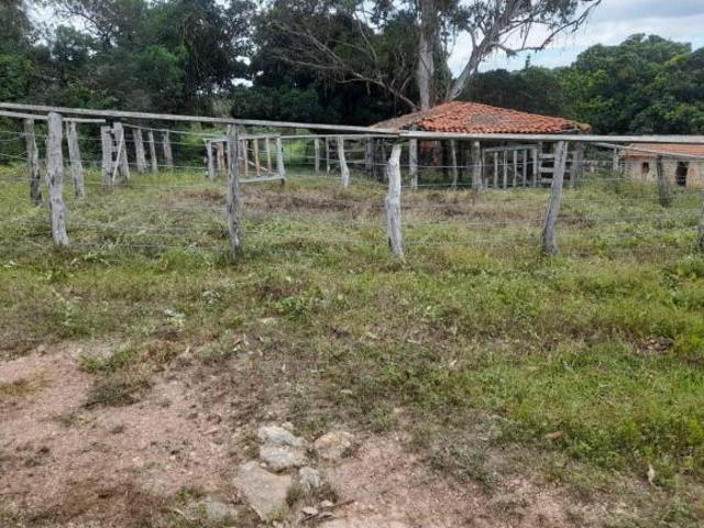 Fazenda 48,4 hectares localizada após Barrocão/Francisco Sá/MG
