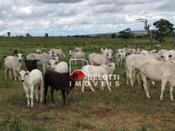 Fazenda