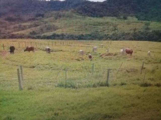 Fazenda