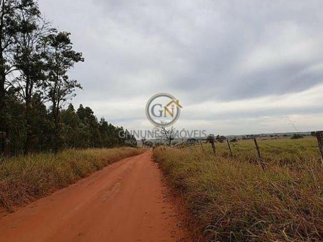 Fazenda 400 Alqueires em Martinópolis SP | Dupla Aptidão
