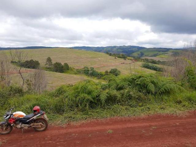 Fazenda 402 Alqueires Sendo 140 Alqueires em Plantio de Grãos Planta mais 40 Alqueires 20%